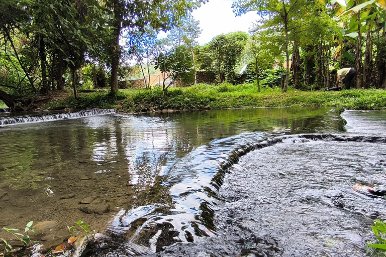 Chiang Mai: Pro Private Driver Service with Custom Itinerary