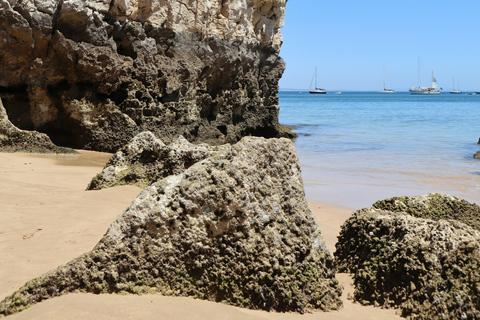 Lisbona: Sintra, Pena, Regaleira, Cabo da Roca e Cascais