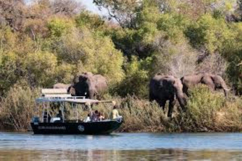 Excursión de un día a Chobe - Parque Nacional de Chobe Botsuana