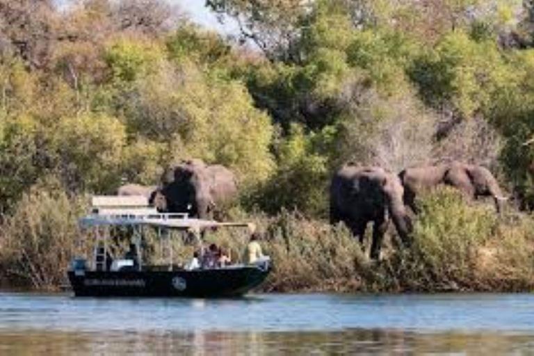Excursión de un día a Chobe - Parque Nacional de Chobe Botsuana