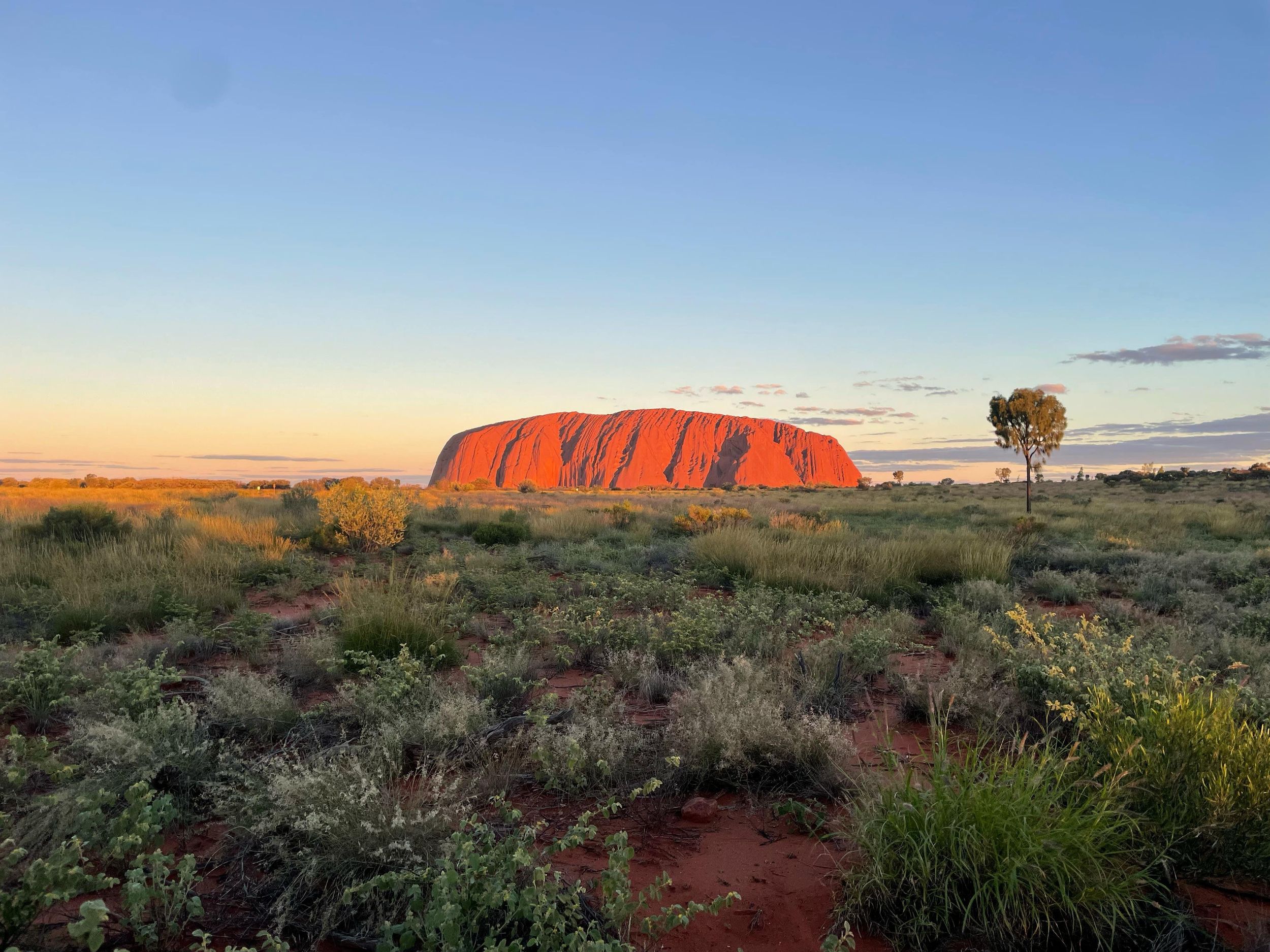 Uluru-Tour mit Kata Tjuta, Kings Canyon und der MacDonnell-Gebirgskette