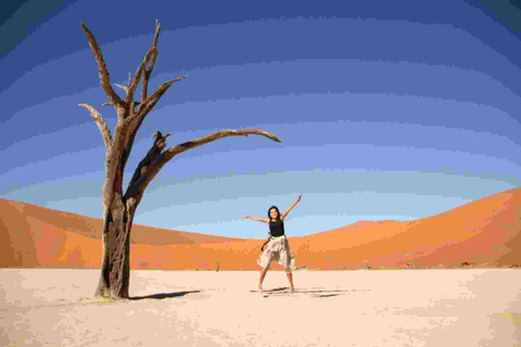 Swakopmund: Namib Desert Coast Adventure Tour