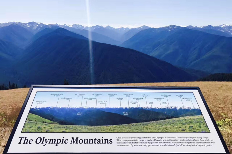 Small Group: Olympic National Park Day Tour From Seattle