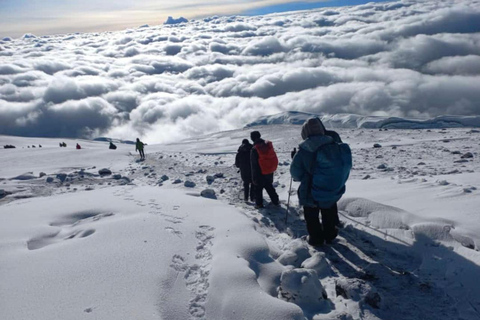 6 Days Climbing Mt. Kilimanjaro Via Machame Route