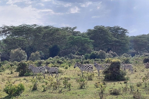 Nairobi: Hell's Gate National Park and Lake Naivasha Tour