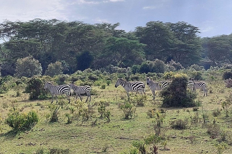 Nairobi: Hell's Gate National Park and Lake Naivasha Tour