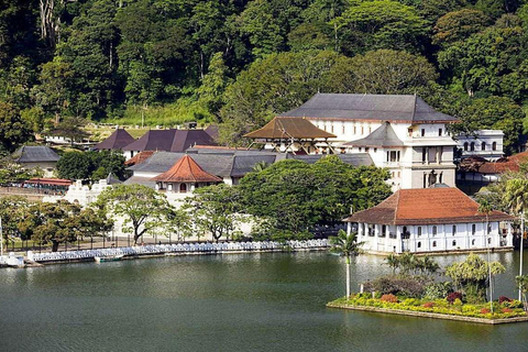 Gita di 1 giorno a Kandy e all&#039;orfanotrofio degli elefanti, tutto inclusoKandy e orfanotrofio degli elefanti: gita di 1 giorno all inclusive