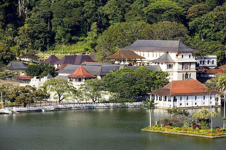 Gita di 1 giorno a Kandy e all&#039;orfanotrofio degli elefanti, tutto inclusoKandy e orfanotrofio degli elefanti: gita di 1 giorno all inclusive