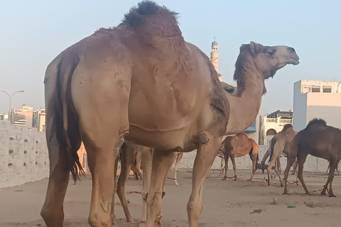 Doha Heritage Tour