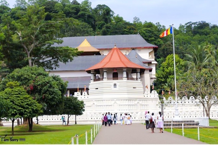 Excursión de día completo a Kandy y Pinnawala desde Colombo/Negombo