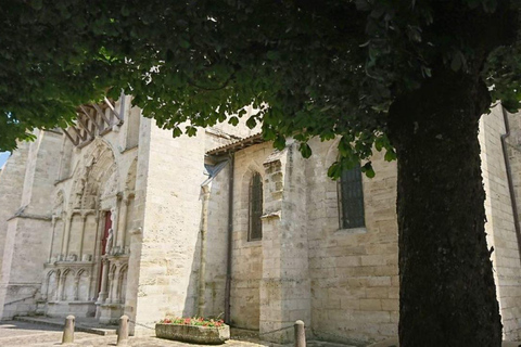Visite exclusive des châteaux de Saint-Émilion avec dégustationsGroupe privé de 2 à 6 personnes.