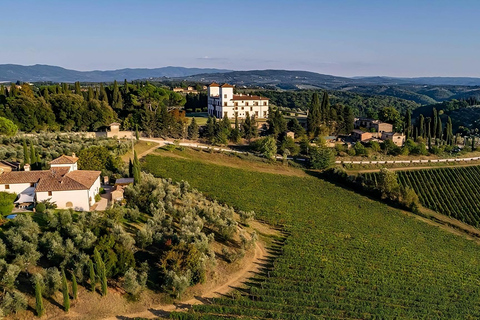 Från Florens: Pisa, San Gimignano och Siena Privat tur