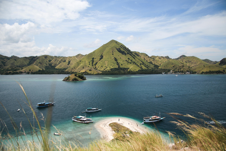 Bali: Komodo Island Day Trip with Flights and Snorkeling
