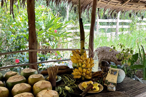 El Nido: Farm Tour, Snorkeling, Dinner, and Nipa Hut Stay