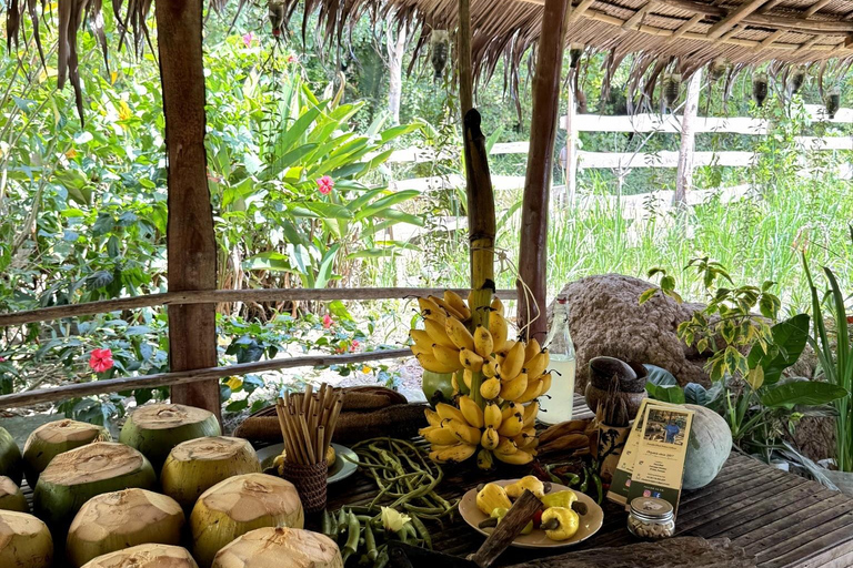 El Nido: Farm Tour, Snorkeling, Dinner, and Nipa Hut Stay