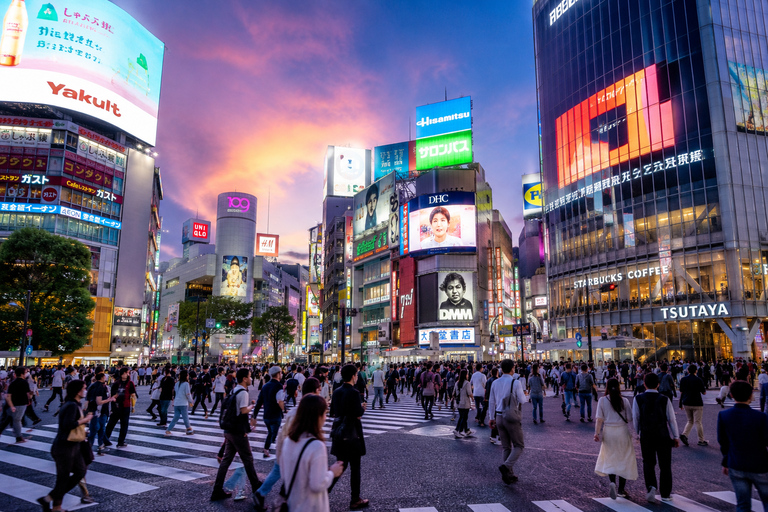 Tokyo Private Customizable City Highlights Guided Tour