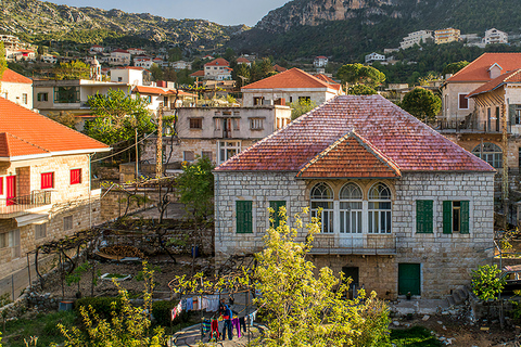 From Beirut: Balaa, Afka, Cedars, and Douma Cave Day Tour