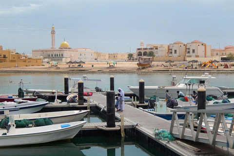 Doha : Visite privée du nord du Qatar, mangroves et fort de Zubara