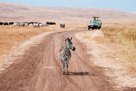 Wildlife Wonders: A 3-Day Safari to and from Arusha.