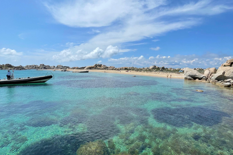 Bonifacio: Isola Piana and Lavezzi Tour