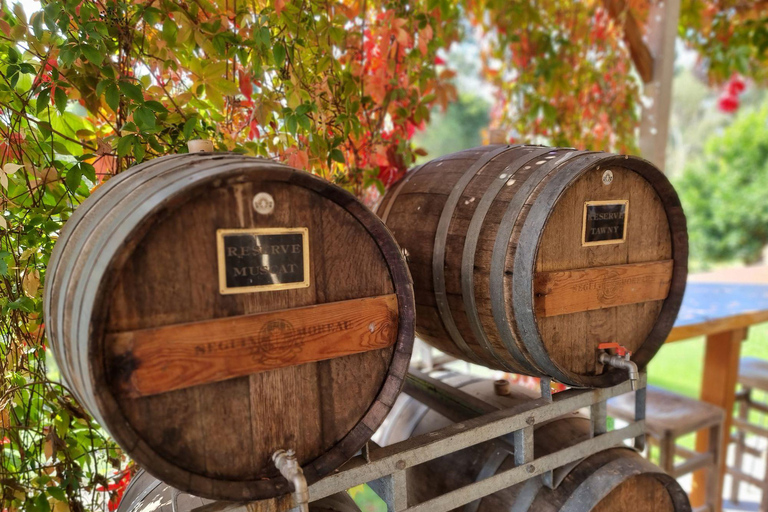 Discover Hidden Wineries in Melbourne Boutique Wine Series