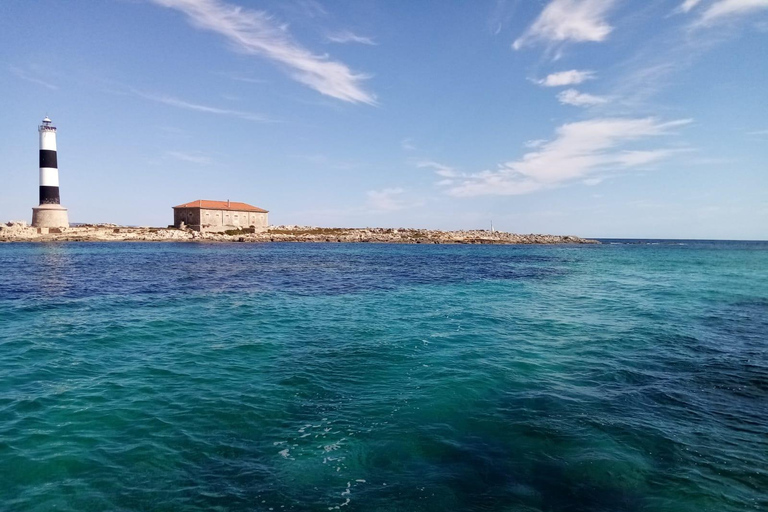 Ibiza: Paseo en barco por Formentera y Espalmador