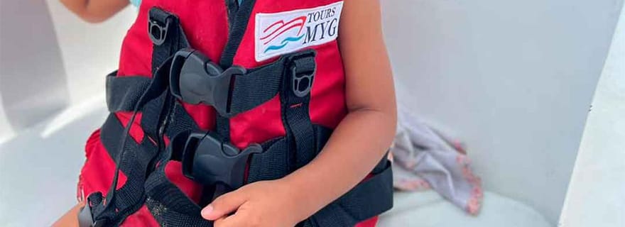 Lima : les îles Palomino en yacht avec baignade avec les lions de mer