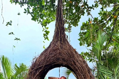 Bali: Ubud Swing, Rice Terrace & Temple Private Day Tour