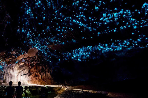 Visite du plateau de tournage de Hobbiton, du jardin de Hamilton et des grottes de Waitomo