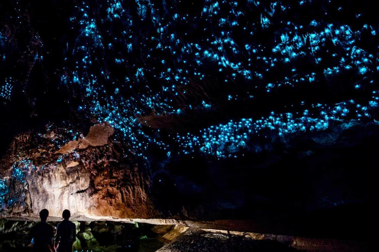 Visite du plateau de tournage de Hobbiton, du jardin de Hamilton et des grottes de Waitomo