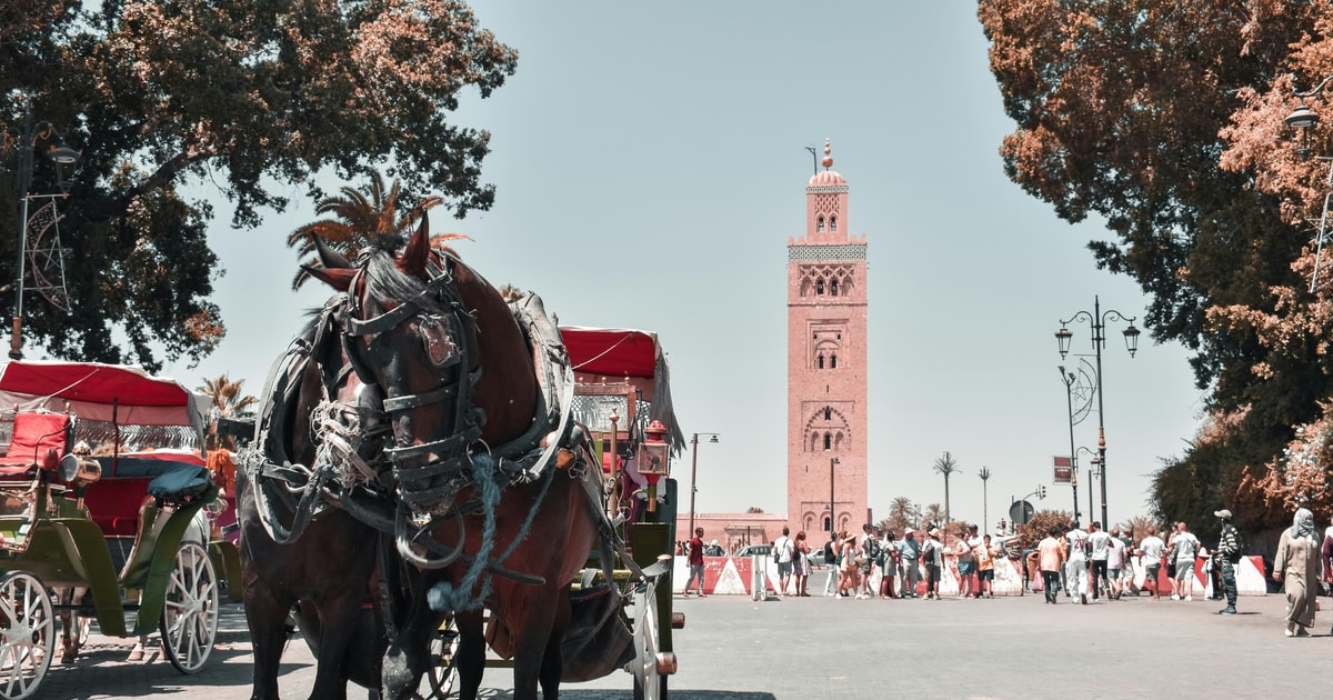 Von Agadir oder Taghazout aus Geführte Tagestour nach Marrakesch GetYourGuide