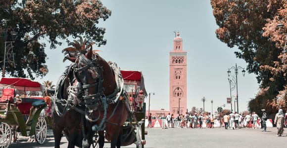From Agadir: Marrakech Guided Day Trip, Medina & Local Souk