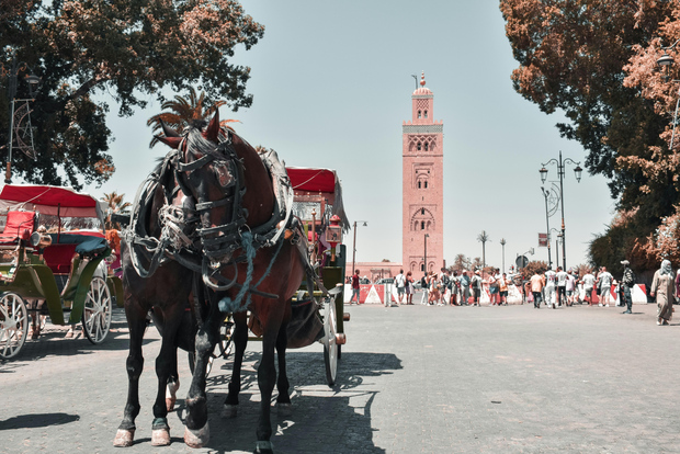 Da Agadir: gita di 1 giorno a Marrakech con guida, Medina e souk locale
