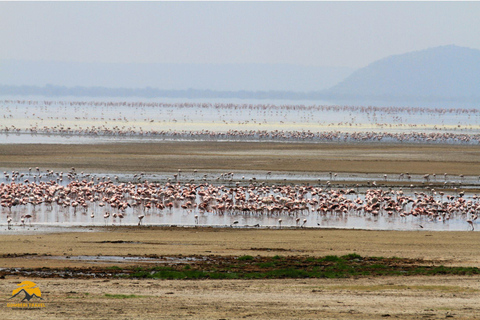 3-Day Wildlife Wonder! Tarangire, Lake Manyara & Ngorongoro.