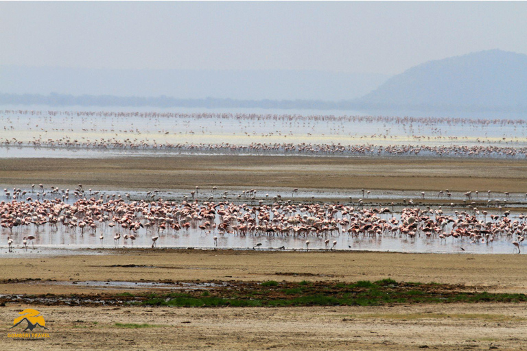 3-Day Wildlife Wonder! Tarangire, Lake Manyara & Ngorongoro.