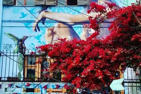 Rondleiding door straatkunstcultuur in Valparaíso en Viña del Mar