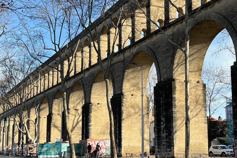 Montpellier: Tour guidato di luoghi insoliti in bicicletta elettrica