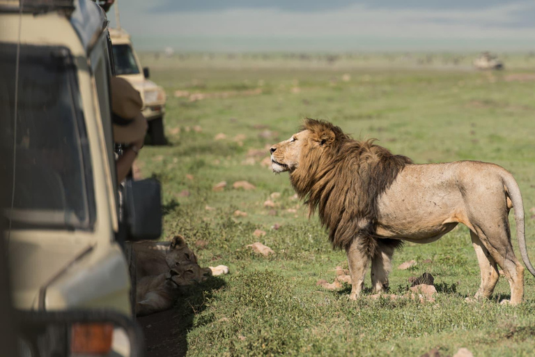 Ostateczna 6-dniowa prywatna przygoda na safariNajlepsza 6-dniowa prywatna przygoda na safari