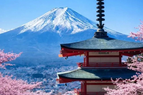 Tokyo: Mount Fuji and Hakone Hidden Gems Tour