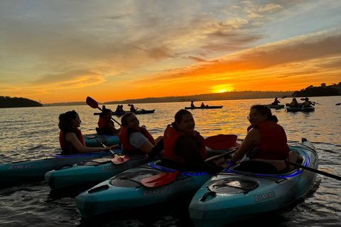 Sydney: Harbour Sunset Kayak Tour Sunset Single Kayak Tour