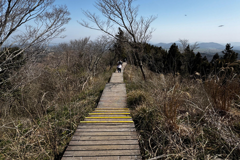 Jeju Geumun-oreum Volcanic Crater Hiking