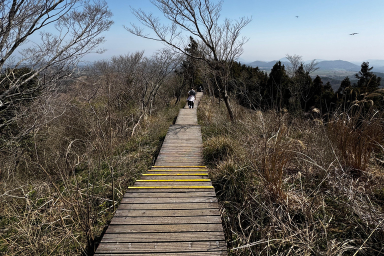 Jeju Geumun-oreum Volcanic Crater Hiking