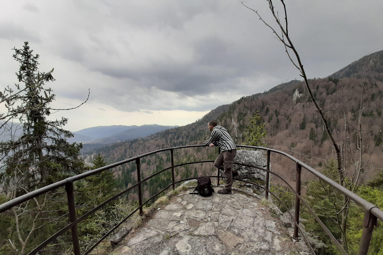 Sinaia Hike With Happy