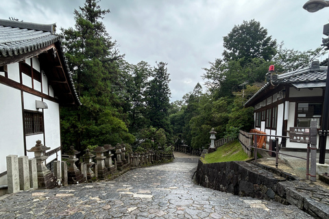 (T11)Tour privado con guía japonés en NaraTour privado con guía japonés en Nara