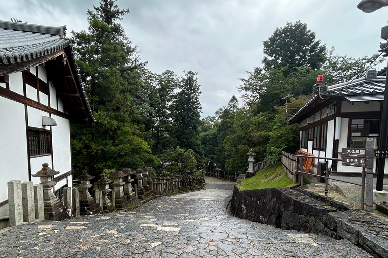 (T11)Tour privado con guía japonés en NaraTour privado con guía japonés en Nara