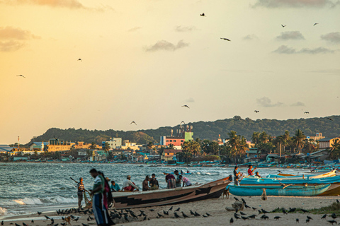 Sri Lanka East Coast Tour (09 Days)