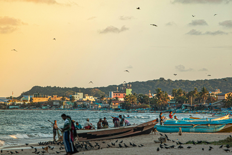 Sri Lanka East Coast Tour (09 Days)