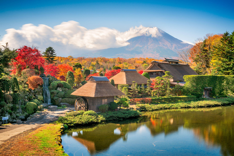 Tokyo: Mt. Fuji & Lake Kawaguchi Small Group Tour - 6 Spots Hotel Pickup Option