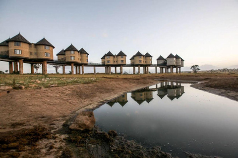 4 days Tsavo East, Amboseli and saltlick lodge safari