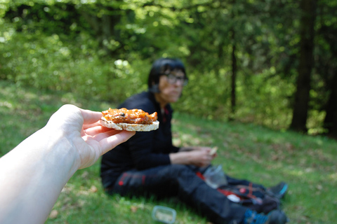 Poiana Brașov: setas silvestres y secretos del bosque